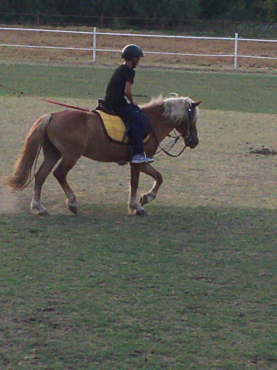 a younger ahmet riding a horse in a field